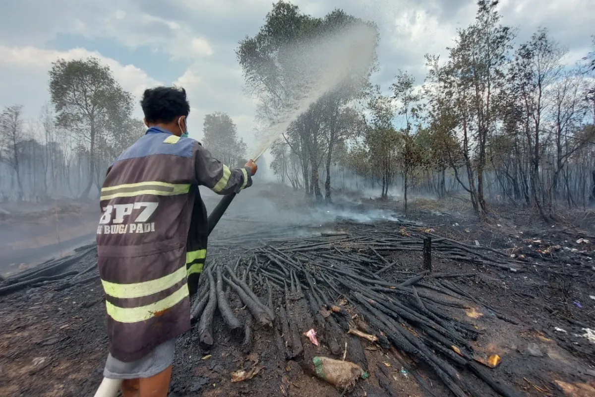 Kebakaran Hutan Kalimantan: 68 Perusahaan Disegel, 4 Tersangka