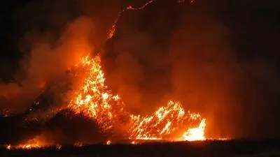 Kebakaran Bromo Meluas 20 Kali Lipat dalam Sepekan, TNBTS Tutup Total Semua Akses Wisata