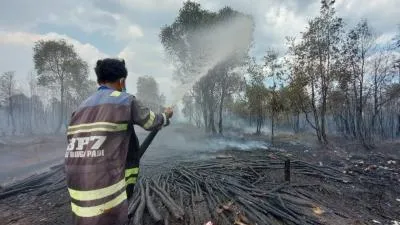 Kebakaran Hutan Kalimantan: 68 Perusahaan Disegel, 4 Tersangka