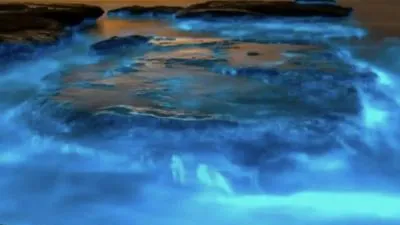 Satelit NASA Pantau Fenomena Laut Susu, Ilmuwan Teliti Penyebabnya